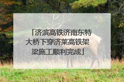 济滨高铁济南东特大桥下穿济莱高铁架梁施工顺利完成