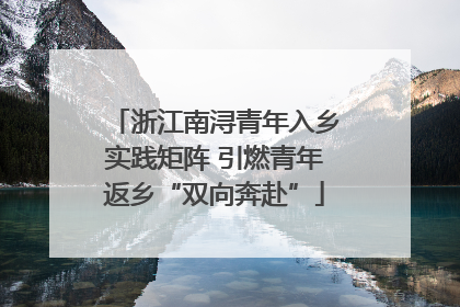 浙江南浔青年入乡实践矩阵 引燃青年返乡“双向奔赴”