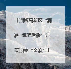 淄博高新区“滴灌+氮肥后移”让麦浪变“金浪”