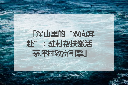 深山里的“双向奔赴”：驻村帮扶激活茅坪村致富引擎