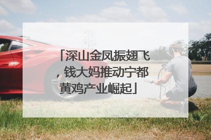 深山金凤振翅飞，钱大妈推动宁都黄鸡产业崛起