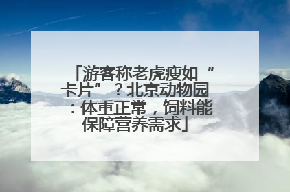 游客称老虎瘦如“卡片”？北京动物园：体重正常，饲料能保障营养需求