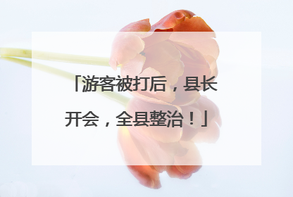 游客被打后，县长开会，全县整治！