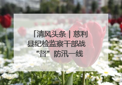 清风头条｜慈利县纪检监察干部战“督”防汛一线 守护群众利益