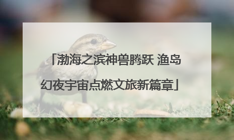 渤海之滨神兽腾跃 渔岛幻夜宇宙点燃文旅新篇章
