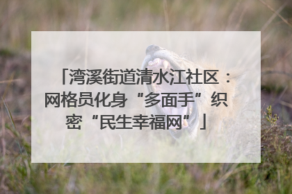 湾溪街道清水江社区：网格员化身“多面手”织密“民生幸福网”