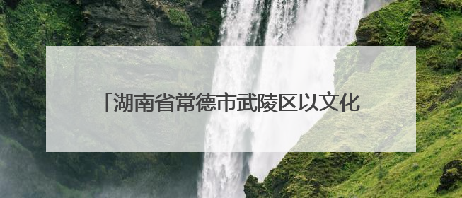 湖南省常德市武陵区以文化立校 推动办学“百花齐放”——每所学校都“精彩”