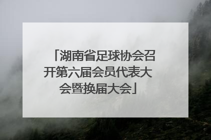 湖南省足球协会召开第六届会员代表大会暨换届大会