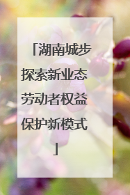 湖南城步探索新业态劳动者权益保护新模式