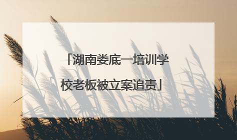 湖南娄底一培训学校老板被立案追责