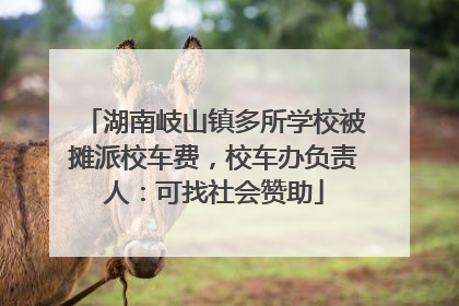 湖南岐山镇多所学校被摊派校车费，校车办负责人：可找社会赞助
