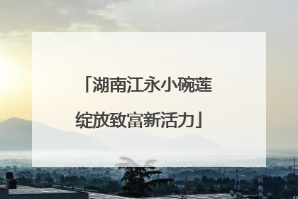 湖南江永小碗莲绽放致富新活力