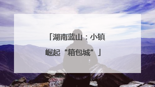 湖南蓝山：小镇崛起“箱包城”