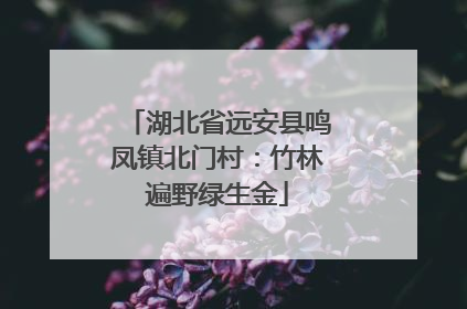 湖北省远安县鸣凤镇北门村：竹林遍野绿生金