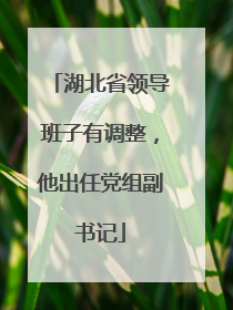 湖北省领导班子有调整，他出任党组副书记