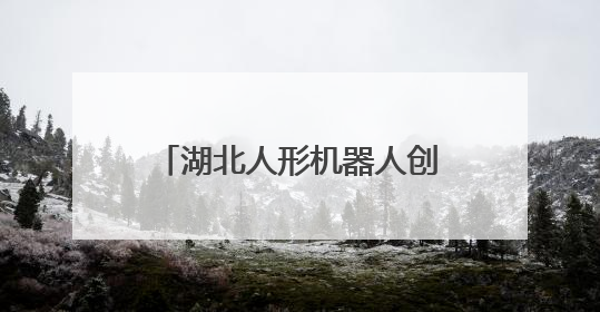 湖北人形机器人创新中心正式揭牌