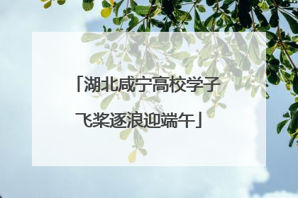 湖北咸宁高校学子飞桨逐浪迎端午