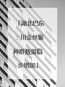 湖北巴东：川金丝猴种群数量稳步增加