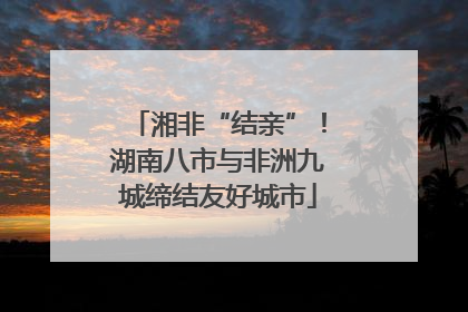 湘非“结亲”！湖南八市与非洲九城缔结友好城市