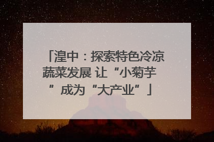 湟中：探索特色冷凉蔬菜发展 让“小菊芋”成为“大产业”