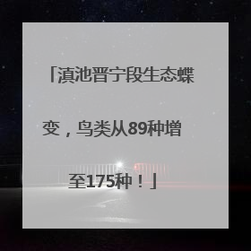 滇池晋宁段生态蝶变，鸟类从89种增至175种！