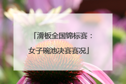 滑板全国锦标赛：女子碗池决赛赛况