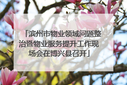 滨州市物业领域问题整治暨物业服务提升工作现场会在博兴县召开