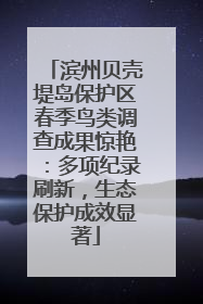 滨州贝壳堤岛保护区春季鸟类调查成果惊艳：多项纪录刷新，生态保护成效显著