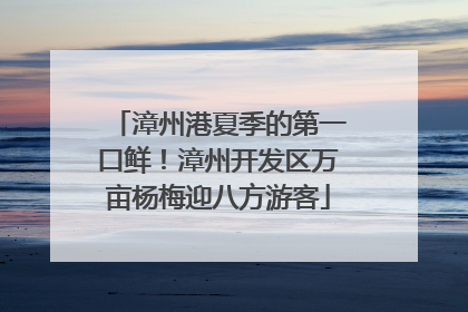 漳州港夏季的第一口鲜！漳州开发区万亩杨梅迎八方游客