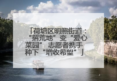 荷塘区明照街道：“撂荒地”变“爱心菜园” 志愿者携手种下“增收希望”