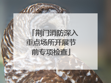 荆门消防深入重点场所开展节前专项检查