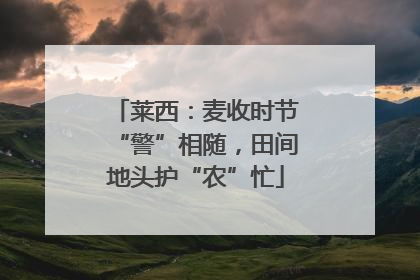 莱西：麦收时节“警”相随，田间地头护“农”忙