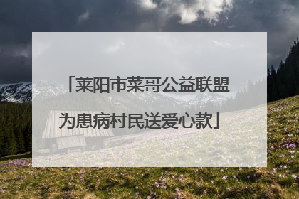 莱阳市菜哥公益联盟为患病村民送爱心款
