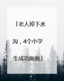 老人掉下水沟，4个小学生成功施救