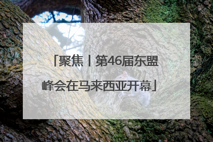 聚焦丨第46届东盟峰会在马来西亚开幕