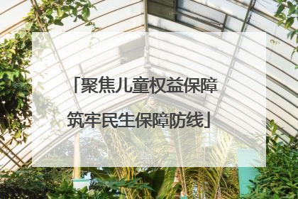 聚焦儿童权益保障 筑牢民生保障防线