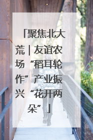 聚焦北大荒｜友谊农场“稻耳轮作”产业振兴“花开两朵”