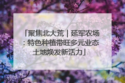 聚焦北大荒｜延军农场：特色种植带旺多元业态 土地焕发新活力