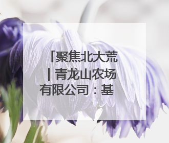 聚焦北大荒｜青龙山农场有限公司：基层民兵参与农业环境综合治理显效