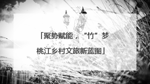 聚势赋能，“竹”梦桃江乡村文旅新蓝图