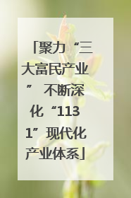 聚力“三大富民产业” 不断深化“1131”现代化产业体系
