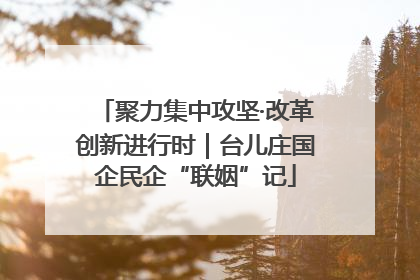 聚力集中攻坚·改革创新进行时｜台儿庄国企民企“联姻”记