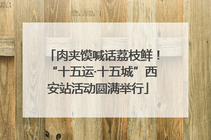 肉夹馍喊话荔枝鲜！“十五运·十五城”西安站活动圆满举行