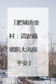 肥城南栾村：清淤疏堵防大汛保平安