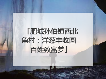 肥城孙伯镇西北角村：洋葱丰收圆百姓致富梦