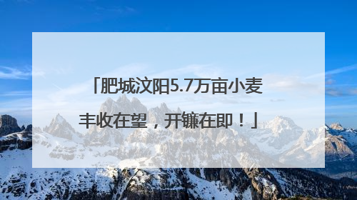 肥城汶阳5.7万亩小麦丰收在望，开镰在即！