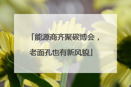 能源商齐聚碳博会，老面孔也有新风貌