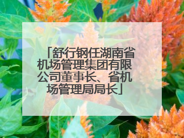 舒行钢任湖南省机场管理集团有限公司董事长、省机场管理局局长