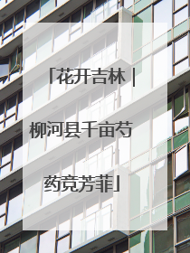 花开吉林｜柳河县千亩芍药竞芳菲