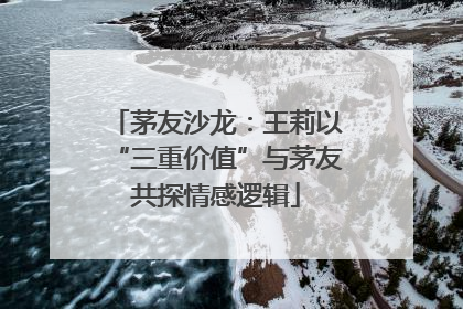 茅友沙龙：王莉以“三重价值”与茅友共探情感逻辑